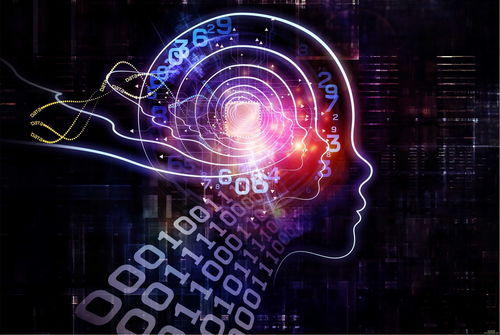 人工智能的基础与基础软件开发 技术与实践的分析